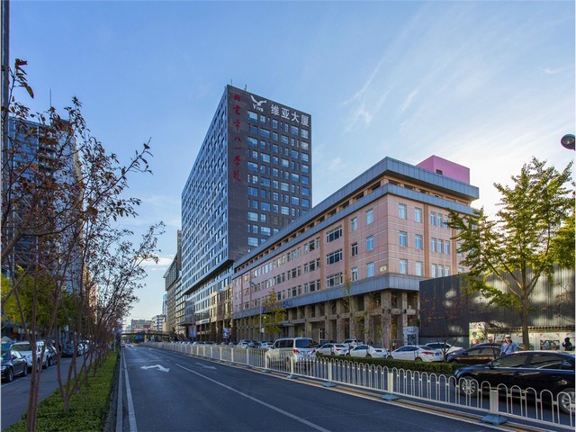 淮安猪肉圆多少钱